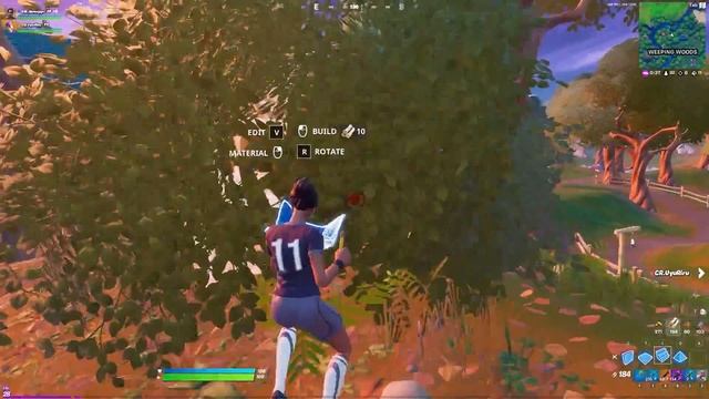 罰ゲームを賭けた「デュオキル数対決」でプロの本気を魅せる、はむっぴ【フォートナイト/Fortnite】 смотреть онлайн