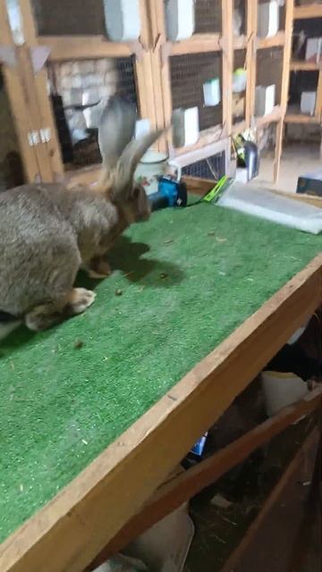 отправка смотреть онлайн