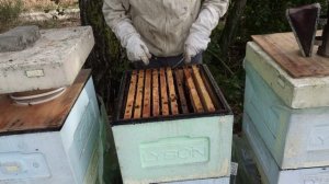 решил дать еще по 5 литров корма