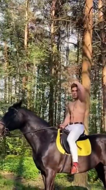 ВОТ ОНА СИЛУШКА БОГАТЫРСКАЯ #богатырь смотреть онлайн