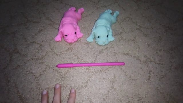 Вечер со сквиш собаками🐶🐾 смотреть онлайн