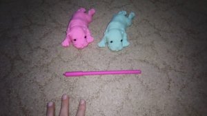 Вечер со сквиш собаками🐶🐾