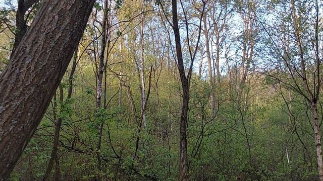 11 мая 2023 г. Ночной соловей смотреть онлайн