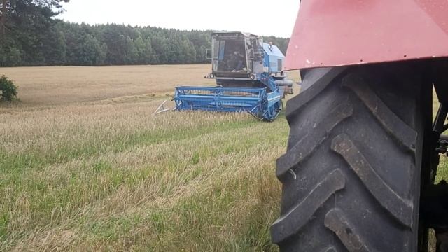 🔥Koszenie owsa 🌱u gr Lewandowski 🔥mtz 82 ts bizon rekord💪 смотреть онлайн