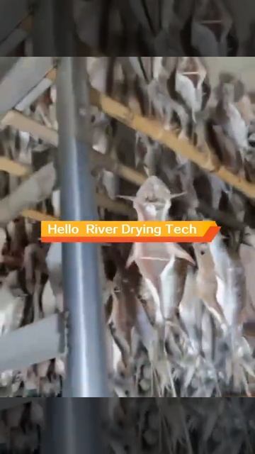 Hello river cold air industrial low tempearture seafood fish dryer marine fish cat fish dryer oven смотреть онлайн