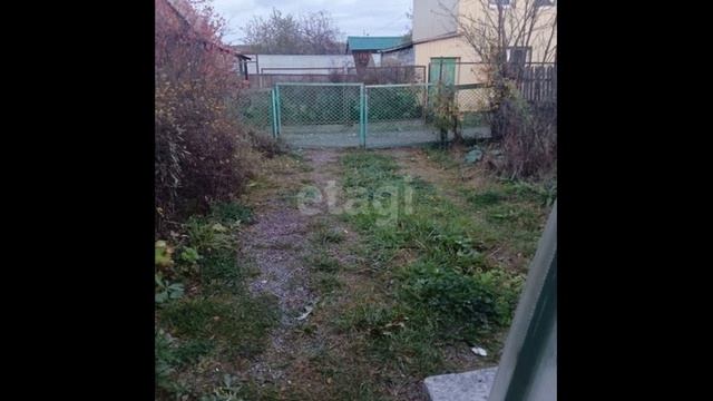 11795607 смотреть онлайн