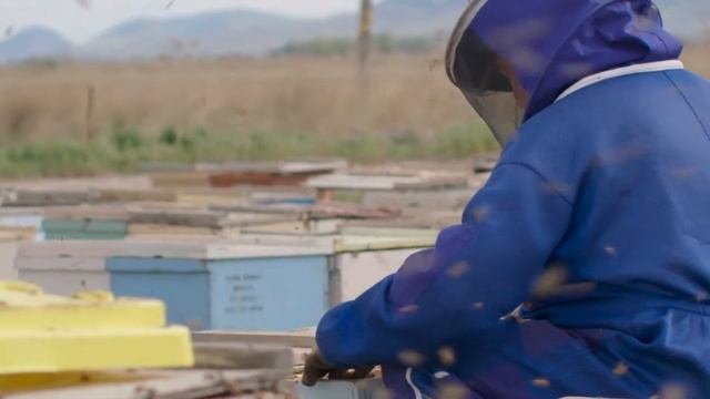 Beekeepers | Arthropods | The Good And The Beautiful