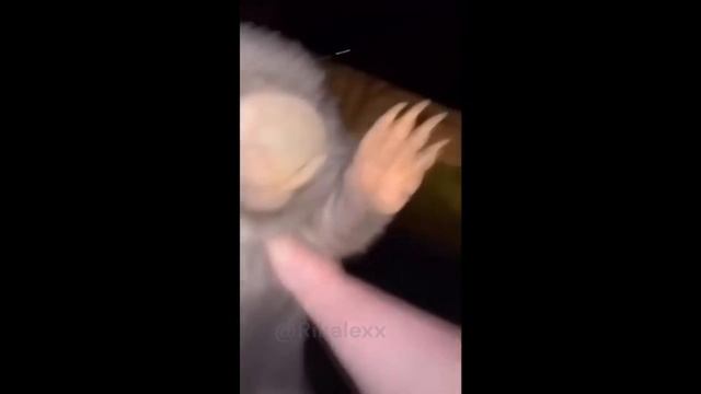 бобр курва пропаганда / bobr kurwa & Мелом Пропаганда смотреть онлайн