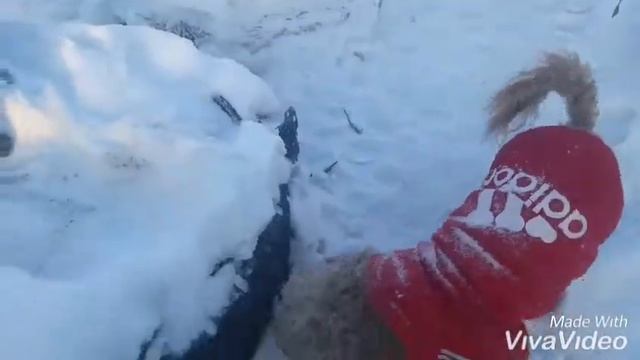 МАШИНКИ//ИГРАЮ В СНЕГУ//НАШЁЛ ПРИЗ!!!//КРУТО!👍 16.01.19. смотреть онлайн