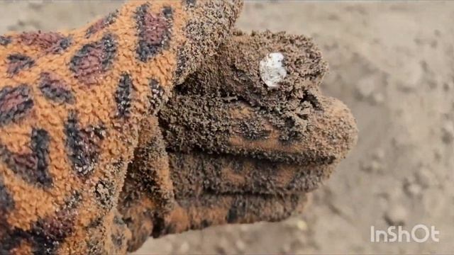 Коп. Копаем селуху 👍 Поле чудес! Кольца и браслеты... и чешуя😄 смотреть онлайн
