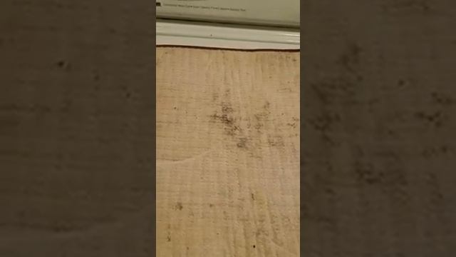 How to get mold off of clothes and dish drying pad смотреть онлайн