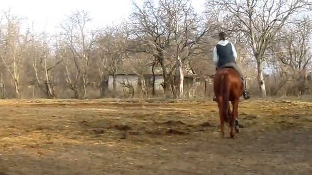 Лиза и Достаток смотреть онлайн