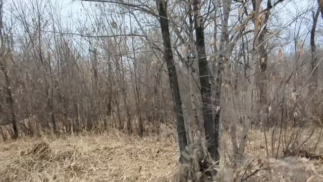 Мать и дочь собирались замуж в один день. Никто не ожидал, чем обернется двойная свадьба смотреть онлайн