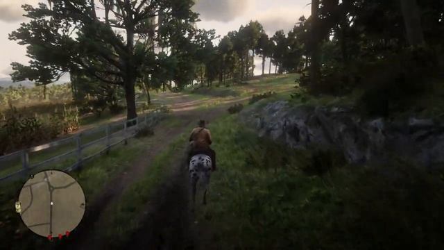 Why is the Quarter Horse Breed not in Red Dead Redemption 2 - ANSWERED смотреть онлайн