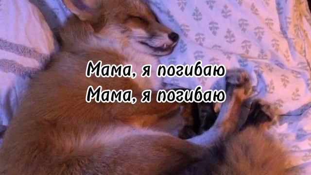 песня AVENUE текстом смотреть онлайн