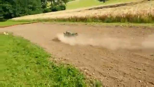 Olis Octane Zircus 2 смотреть онлайн
