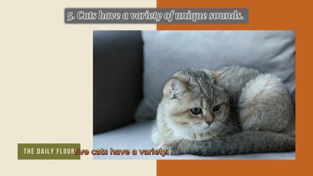Adorable Secrets of Cats: Unique and Adorable Facts about Cats!" смотреть онлайн
