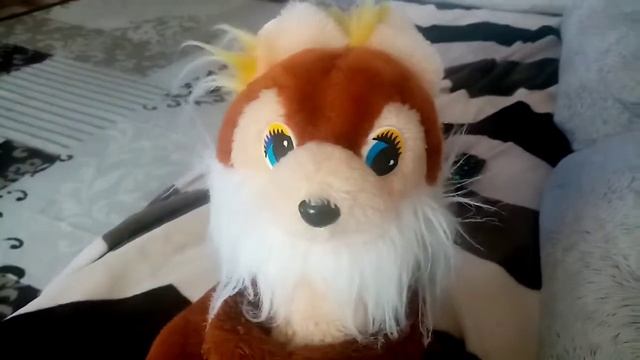 Белка смотрит телевизор🐿️📺 смотреть онлайн