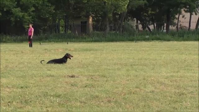 Сдача IGP-1, в Боброве, Воронежская область. Послушание