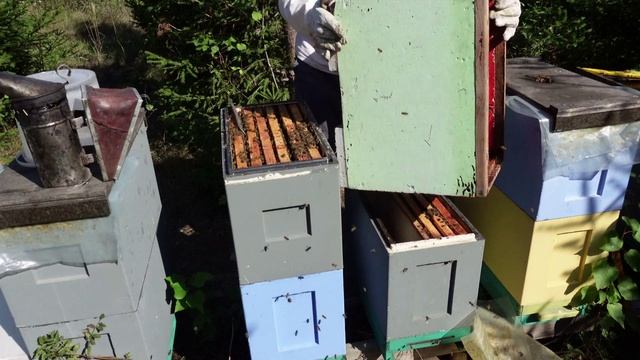 навожу порядок на лесном точке смотреть онлайн