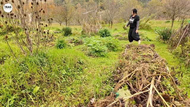 3 Najefikasnija Načina za DIREKTNO KOMPOSTIRANJE смотреть онлайн