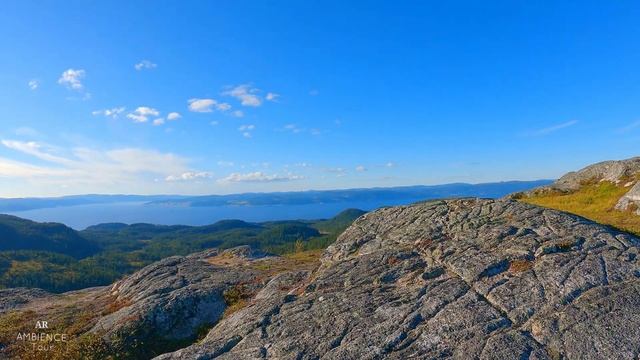【4K】Walking Tour / Taking A Walk In NORWAY - Trondheim (Skistua) | Hiking Up The Mountain Tour part смотреть онлайн