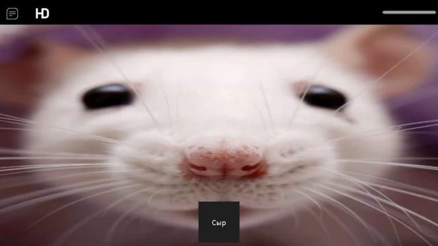 Разоблачение игры копия крысы в Roblox смотреть онлайн