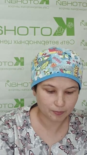 Глаукома у собак и кошек смотреть онлайн