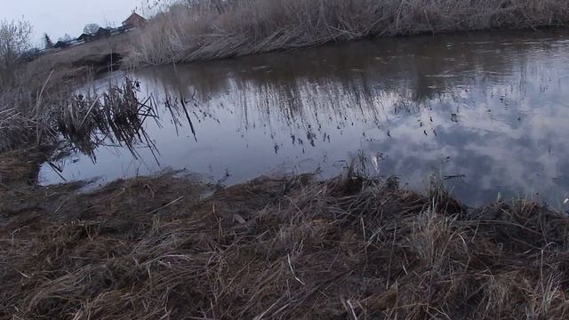 Открыл сезон на поплавок! Поплавочная ловля плотвы на микроречке. Пение птиц. смотреть онлайн