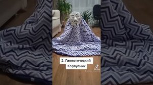 ВЫМЕРШИЕ СНЮСЫ