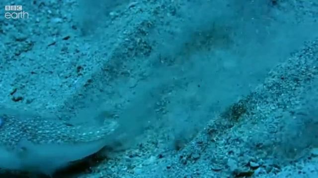 a bottomless sea смотреть онлайн