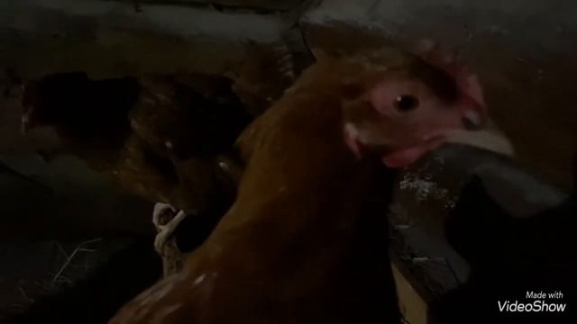 Февральское путешествие смотреть онлайн