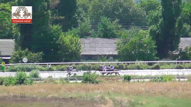 20.08.2023 - Приз им С.М. Буденного - Вегас смотреть онлайн