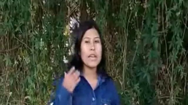 lluvia acida grupo 6 ing ambiental смотреть онлайн