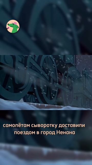 2 февраля день ездовых собак 🐶 Часть 1
