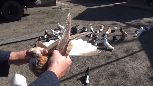 30 апреля на Полегоне 2 часа 45 минут смотреть онлайн