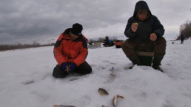 Ловля САЗАНА! ШОК!!! САЗАН, СУДАК, ОКУНЬ, ЛЕЩ! Сазан весной. Сазан на балансир окунь на безмотылку! смотреть онлайн