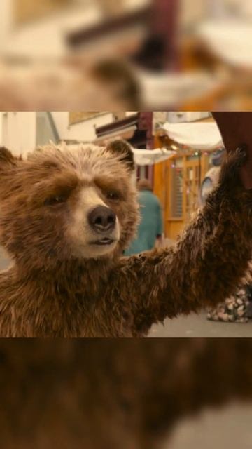 Что за полицейский медведь?🤣 #shorts #ПриключенияПаддингтона1 #фильмы #кино #фильмнавечер смотреть онлайн