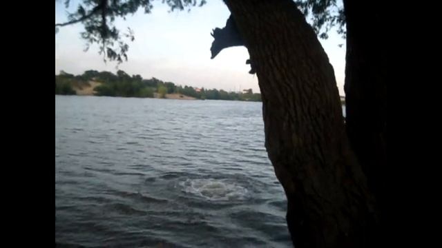 Видео дневник (3 часть) Карьер. смотреть онлайн