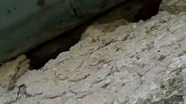 Воробьи от Каймачка смотреть онлайн