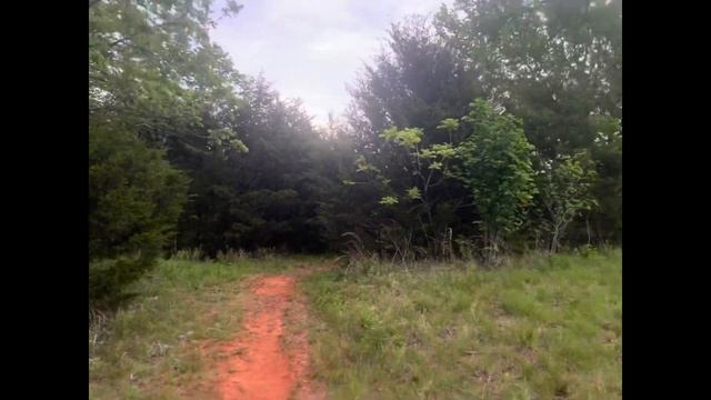 75 Hard challenge. Day 16, daily videos to journal and track my progress. смотреть онлайн