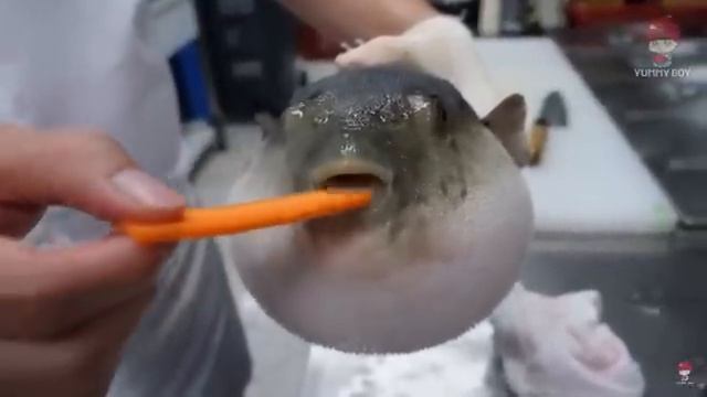 🔴 Рыба Фугу ест морковь! 🐡🍽️