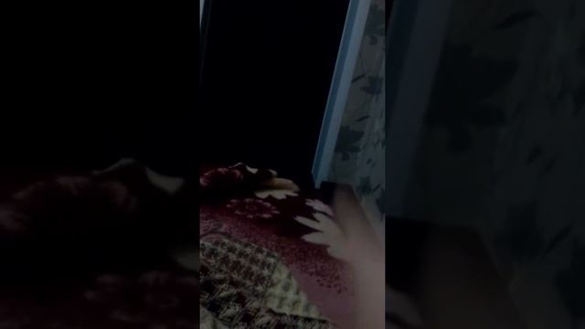 Прикалывается в 00:1 час смотреть онлайн