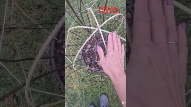 Красивая опора для гортензий и других растений.