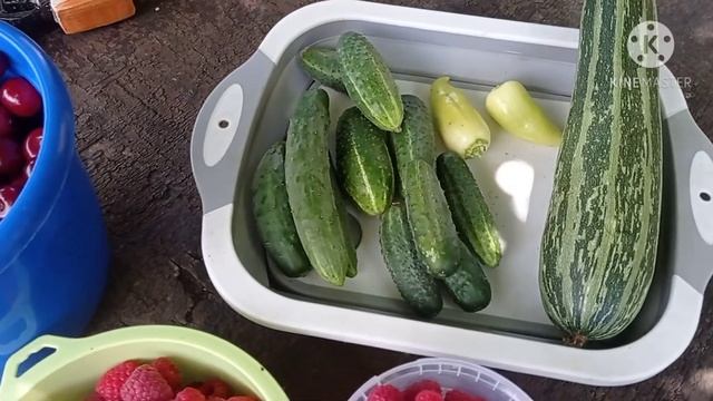 Нашествие крыс.Наш урожай. смотреть онлайн