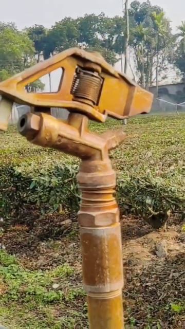 Sprinkler #shorts #shortsfeed смотреть онлайн