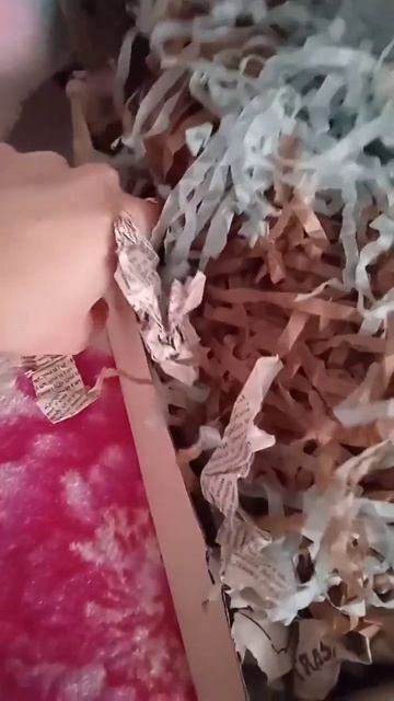 Милашка Ева гуляет #rat #крыса #крыски #рекомендации #реки #dearfriend #shortvideo #shortsvideo смотреть онлайн