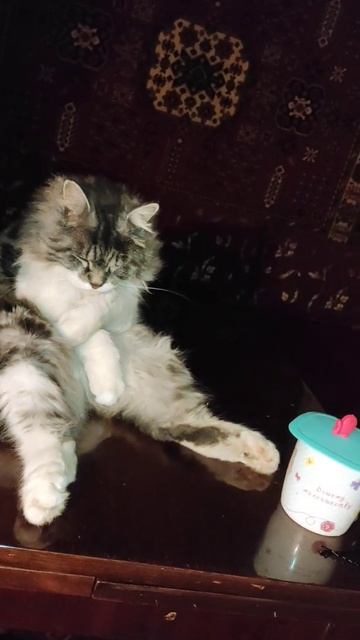 Мой любимый Семён.