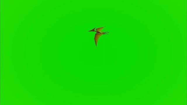 Flying Pterodactyl Green Screen смотреть онлайн