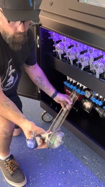 Callibrating peristaltic pumps on The Paragon смотреть онлайн